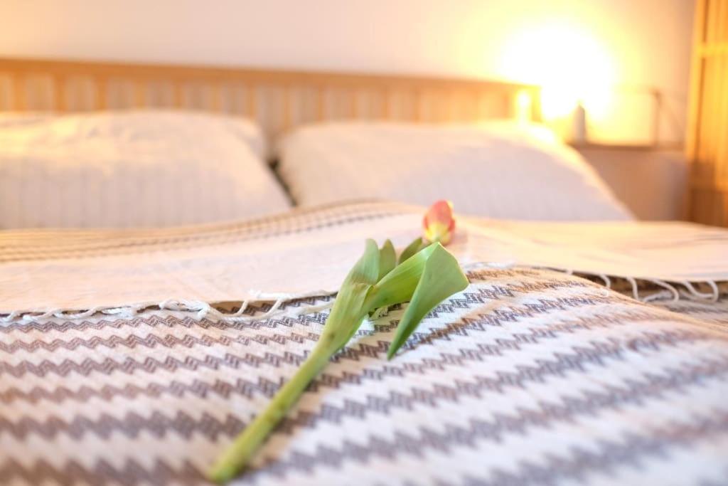 居辛Quartier Romantikum的坐在床边的花