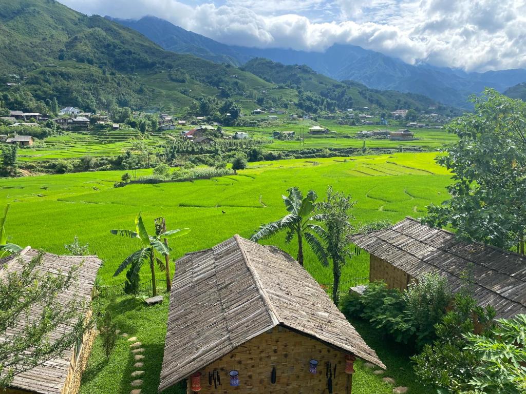 萨帕Sapa Bamboo Eco的相册照片