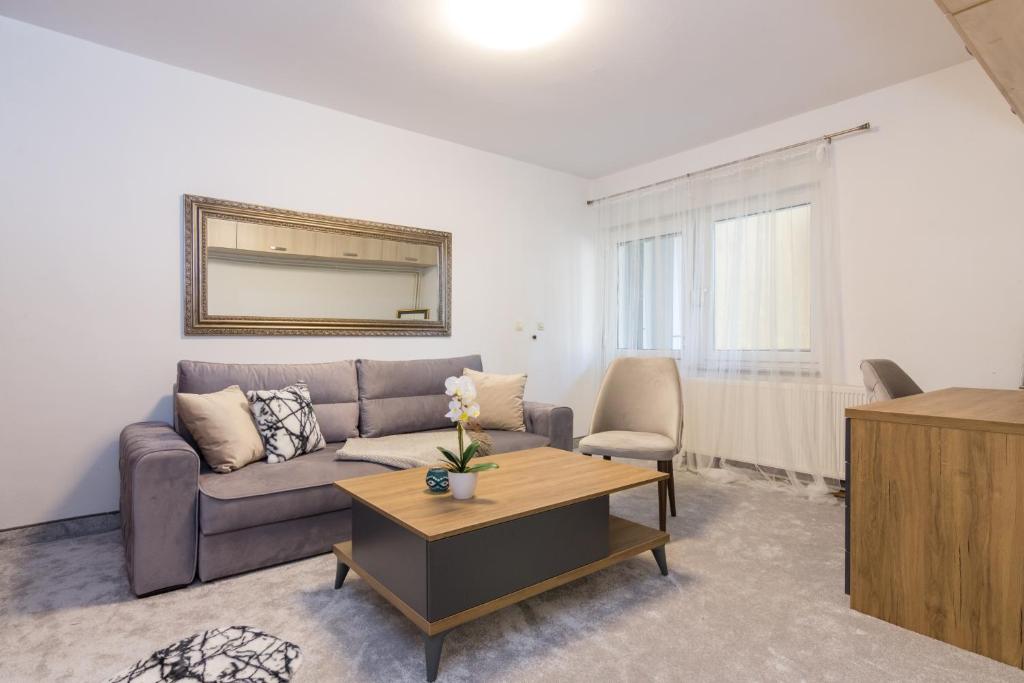 维索科Apartment FiVe Visoko的客厅配有沙发和桌子