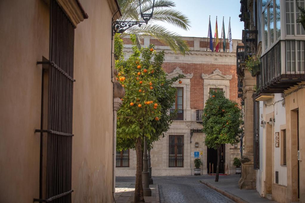 赫雷斯-德拉弗龙特拉Hotel Casa Palacio María Luisa的楼前有橘子树的小巷