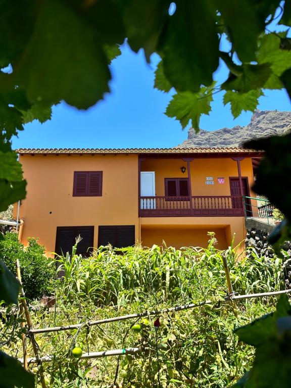 戈梅拉岛圣塞瓦斯蒂安Casa Zaida的一座橘色房子,以植物为背景,位于前沿