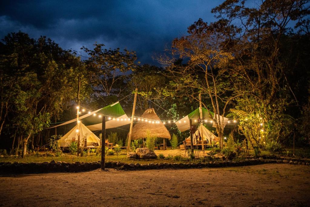 MeraFinca de la Vaca - Glamping & Camping的一群夜晚带灯的帐篷