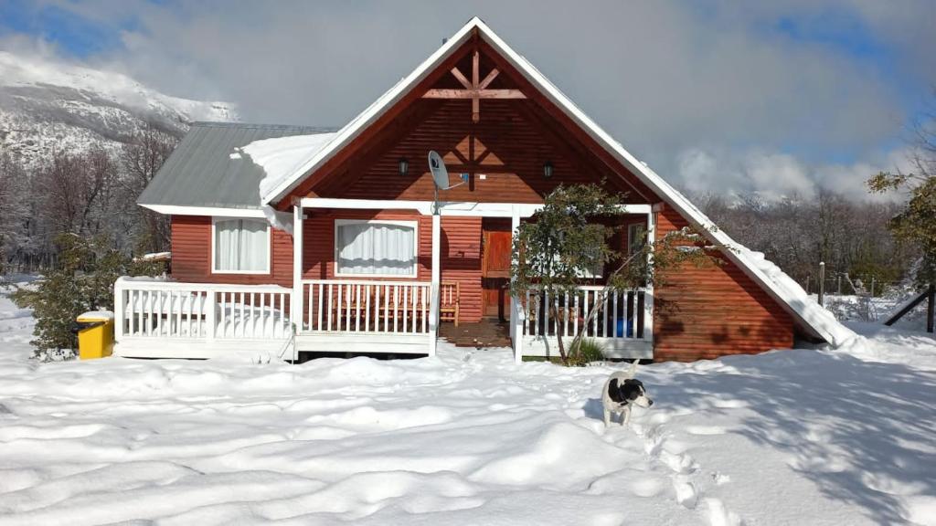 奇廉内瓦达斯Cabana Vista Nevada的狗站在房子前面的雪地里
