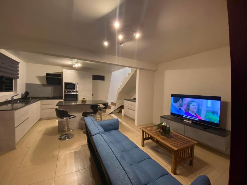 普纳奥亚Beach side Duplex的客厅配有蓝色的沙发和电视