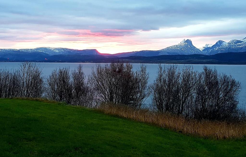 波多Stor leilighet nær Bodø sentrum.的享有带雪覆盖山脉的湖泊美景。