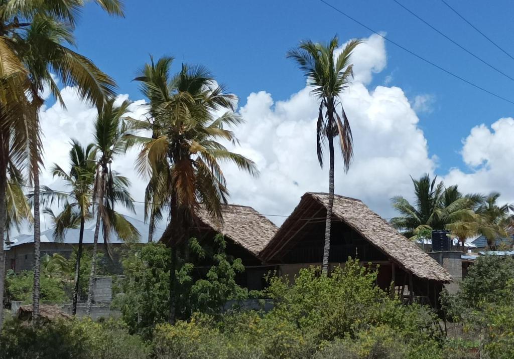 布韦朱Mamarasta的前面有棕榈树的房子