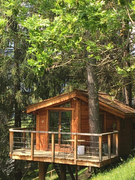 圣让多尔普la Cabane dans les Arbres的森林中带甲板的树屋