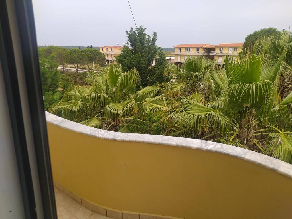 迪夫亚卡Vila M&D的阳台享有棕榈树和建筑的景致。
