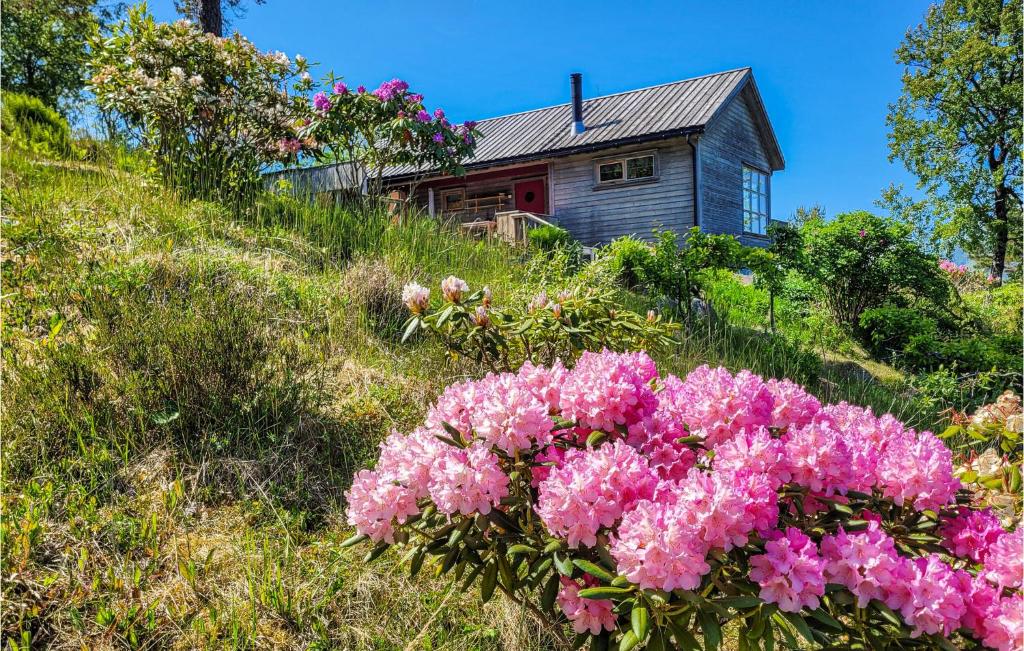 约尔珀兰Amazing Home In Jrpeland With Kitchen的山丘上一座古宅,鲜花粉红色
