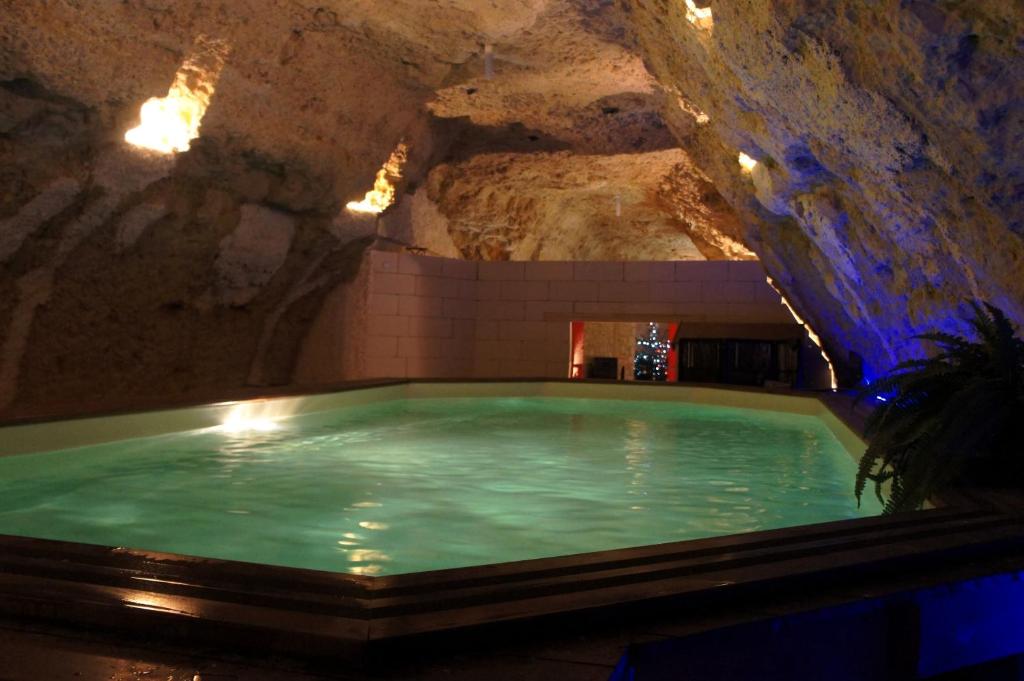 阿姆博斯Chambres d'Hôtes Troglodytes Le Clos de L'Hermitage的洞穴中的游泳池,设有岩石墙