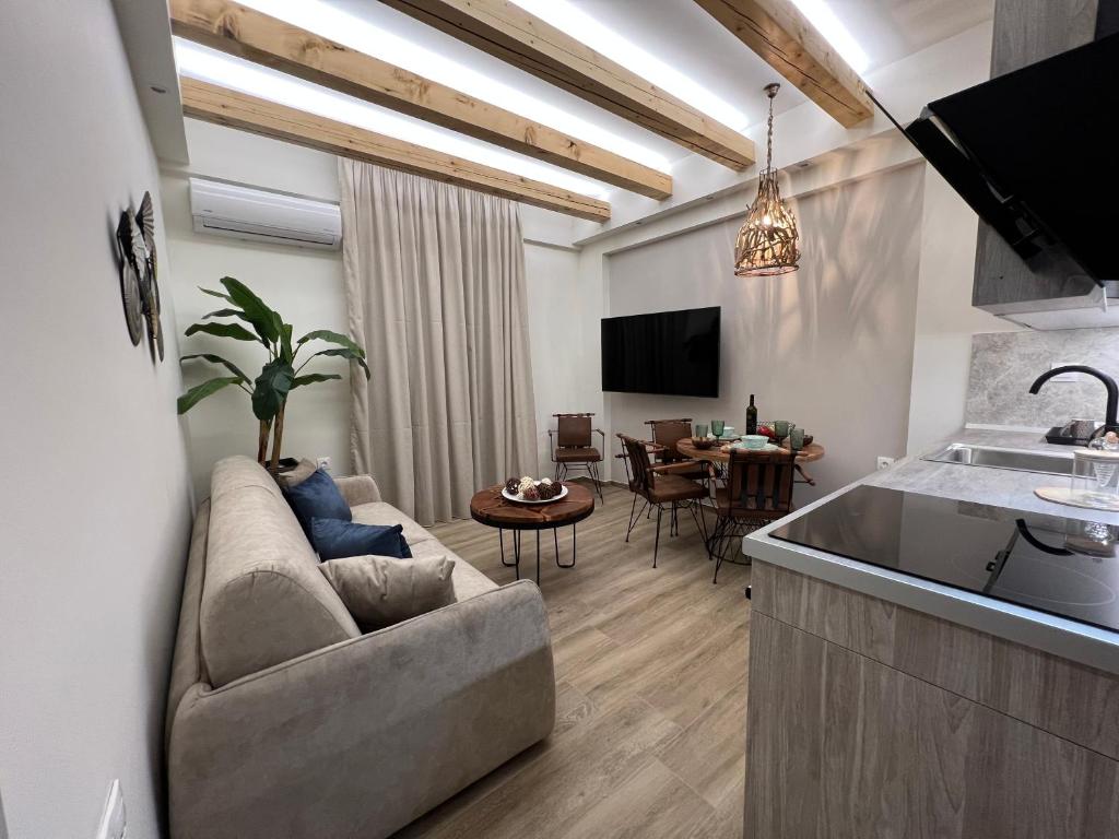 亚历山德鲁波利斯Supreme Malibu Suite的带沙发的客厅和厨房