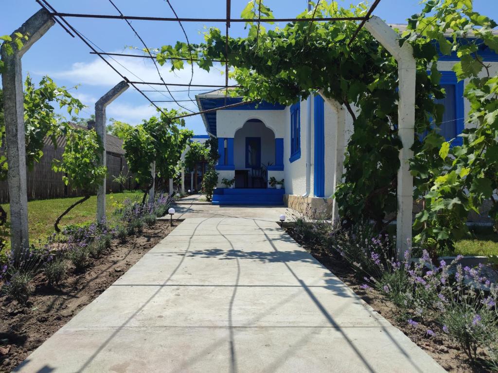 穆里吉奥尔Casa Traditionala Clisciova的通往带蓝色门的房子的路径