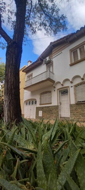 门多萨Casa Candelina的前面有一棵树的房子