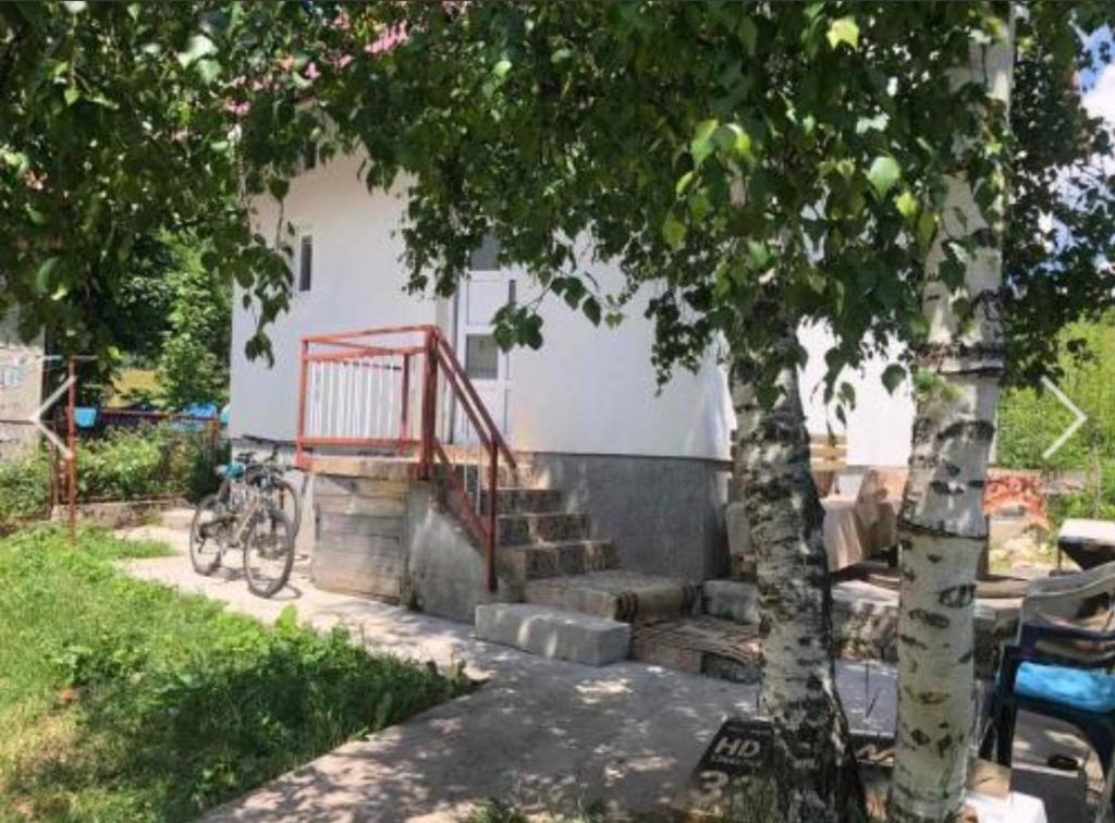扎布利亚克Apartment Žugić的树旁有楼梯和自行车的房子