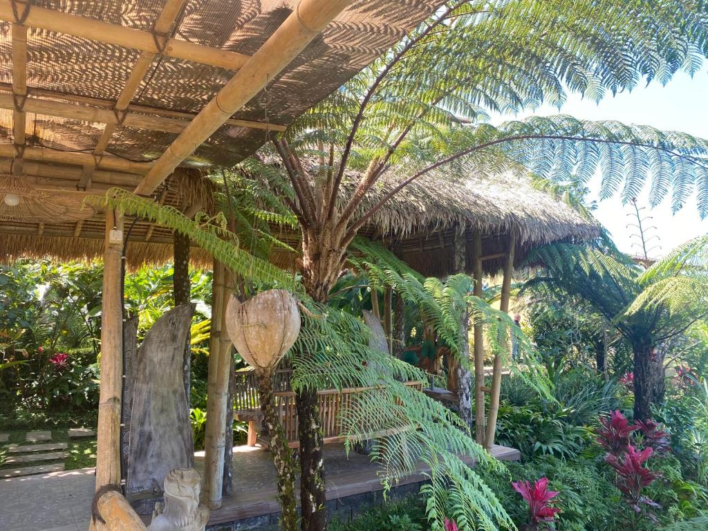 BaturitiLembah Cinta Mayungan的一个带棕榈树小屋的花园