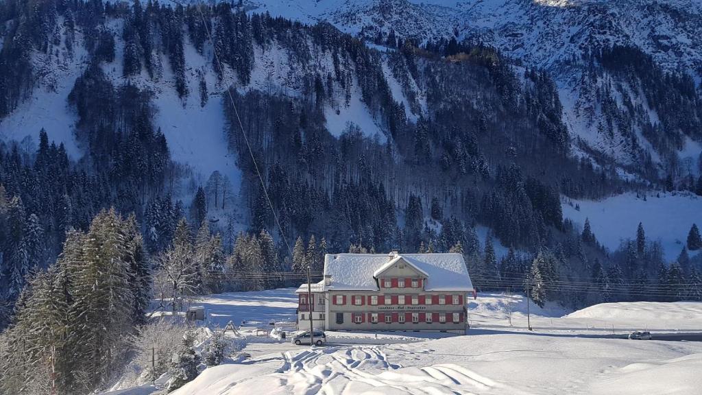 施科佩尔瑙Landhaus Bad Hopfreben的一座雪地中的建筑,背景是一座山