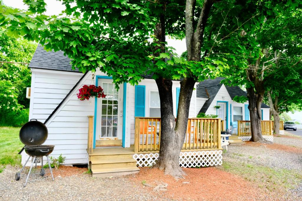 旧奥查德比奇老果园海滩兰迪酒店加小屋的白色和蓝色的小房子,有树