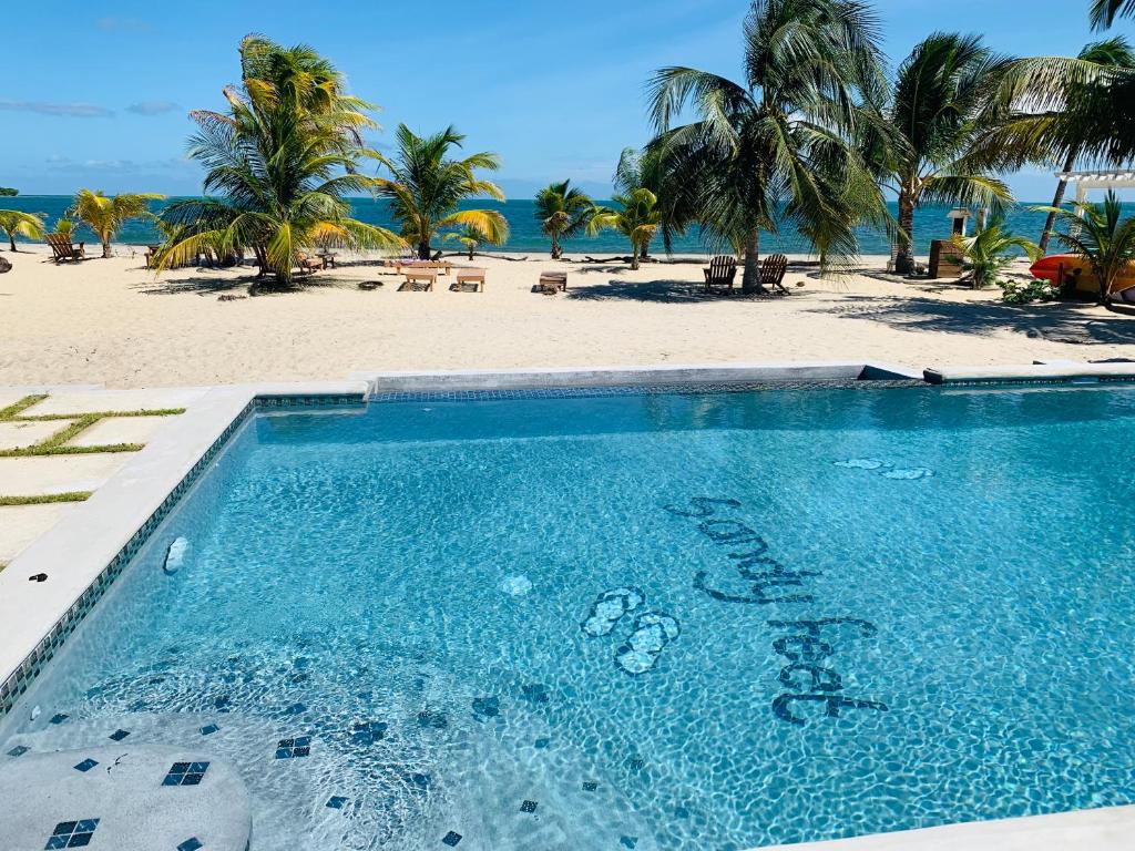 珀拉什奇亚Sandy Feet Beach Resort的棕榈树海滩旁的游泳池