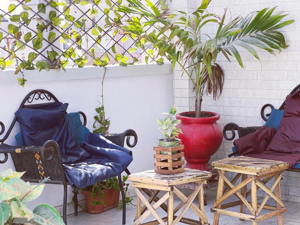 达喀尔Villa soleil du Sénégal的庭院里摆放着两把椅子,种植了盆栽植物