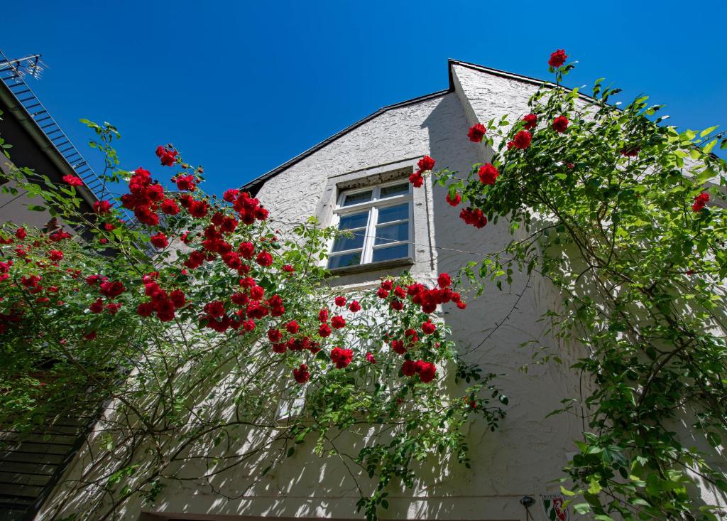 施托尔贝格Gästehaus Vanille & Chocolat的红色花的建筑上的窗户