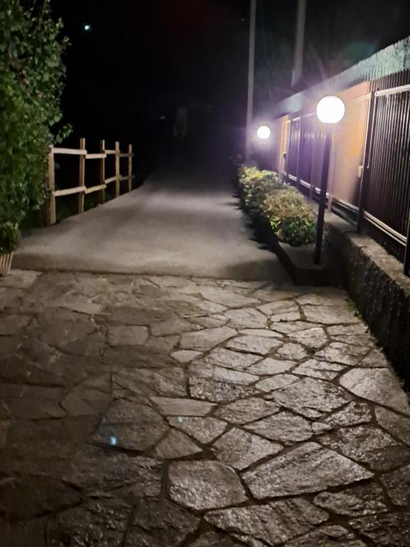 瓦尔博若纳Green & Blue House的夜间有街灯的石头走道