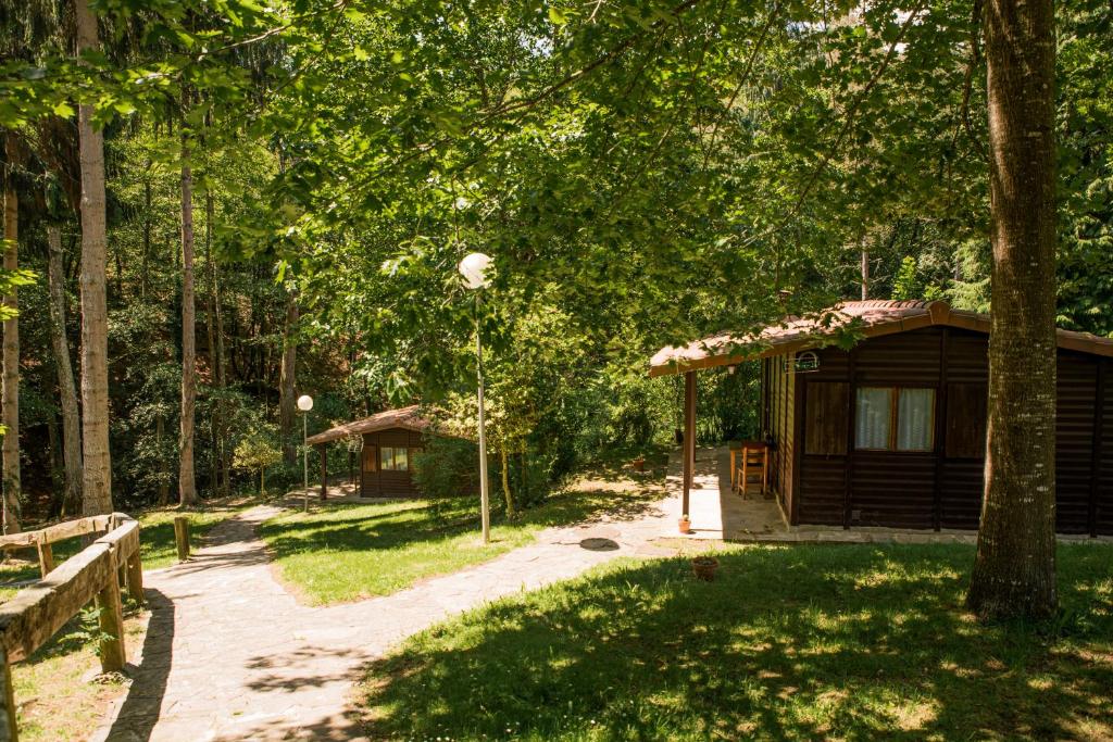Leintz-GatzagaGaztainuzketa Mendi Etxeak的树林中的小屋,有小径和树木