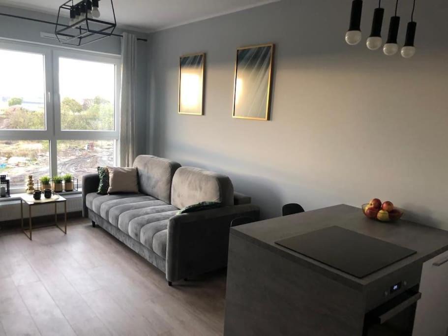 比得哥什Comfort18的客厅配有沙发和桌子