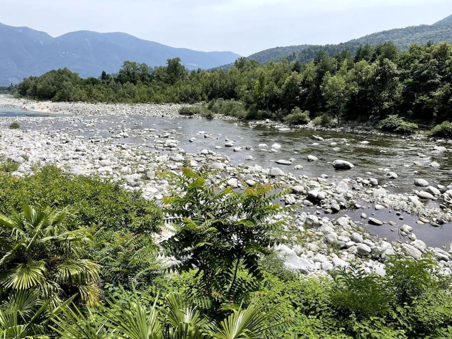 洛迦诺Immersi nella natura con accesso al fiume maggia的一条河,河底有岩石、树木和山脉