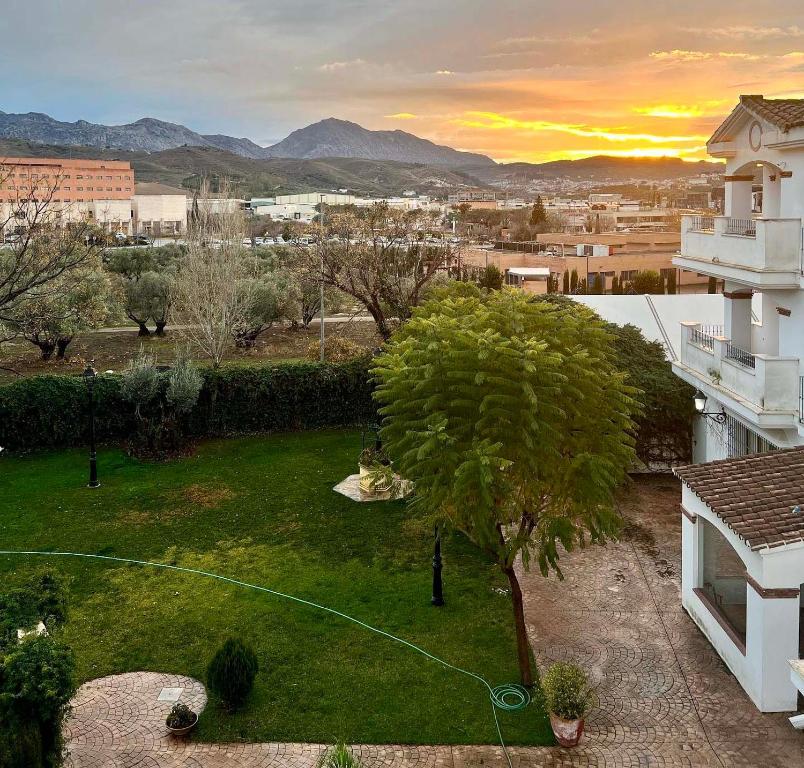 安特克拉罗斯多蒙那斯酒店的享有庭院和树木的景色