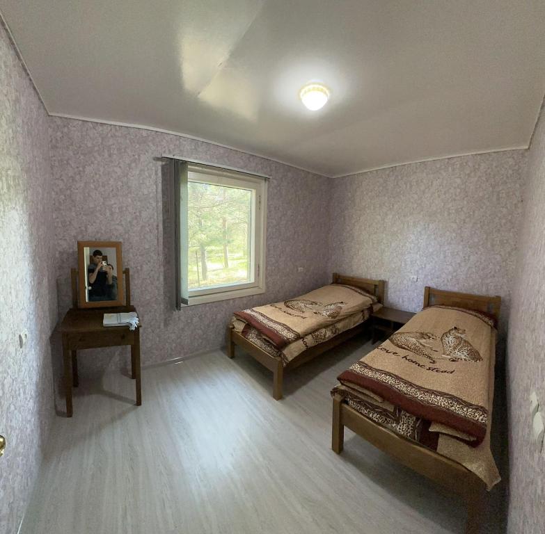 塞凡Guest house at the Lake Sevan的客房设有两张床和窗户。