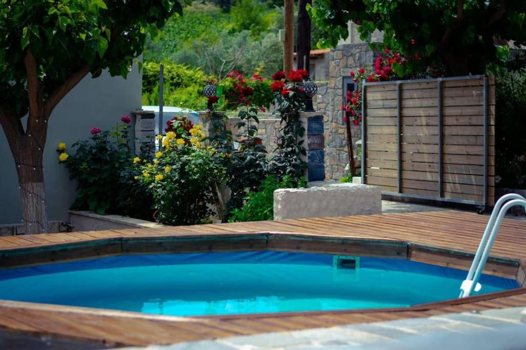 KamariótisΜουριές的一座带木甲板和鲜花的小游泳池