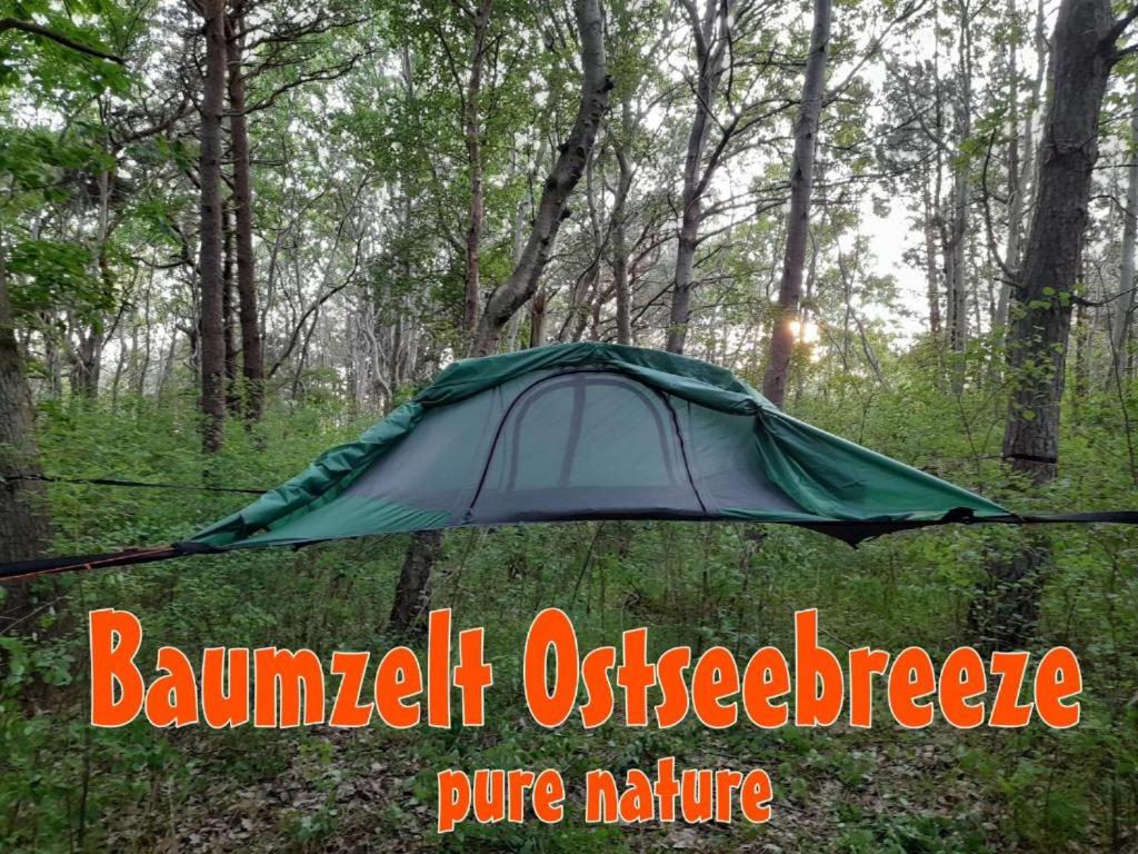 德兰斯克Baumzeltdorf OSTSEEBREEZE direkt am Strand的森林中间的帐篷