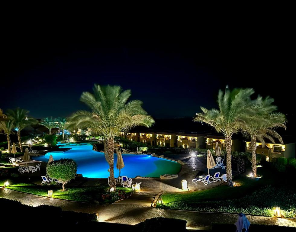艾因苏赫纳Telal Al Sukhna Only families的棕榈树之夜带游泳池的度假酒店