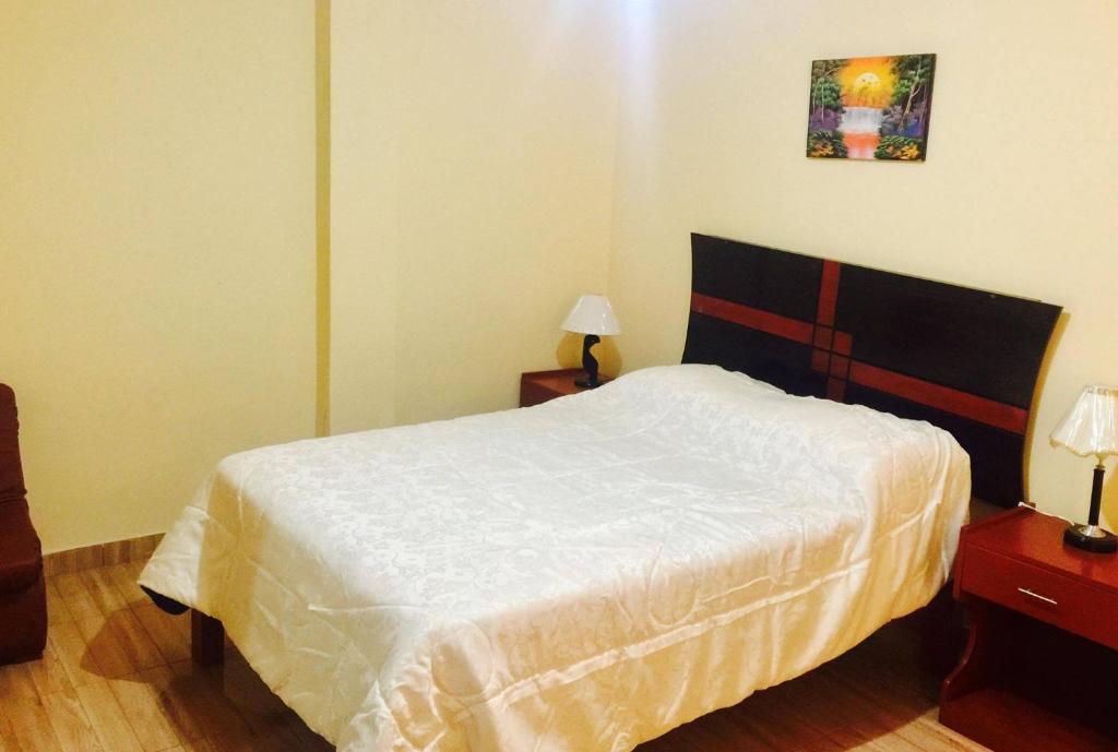 巴兰卡HOTEL CASTILLO MAGICO (EX CHAVIN SEÑORIAL?的一间卧室配有一张床和两张带台灯的桌子。