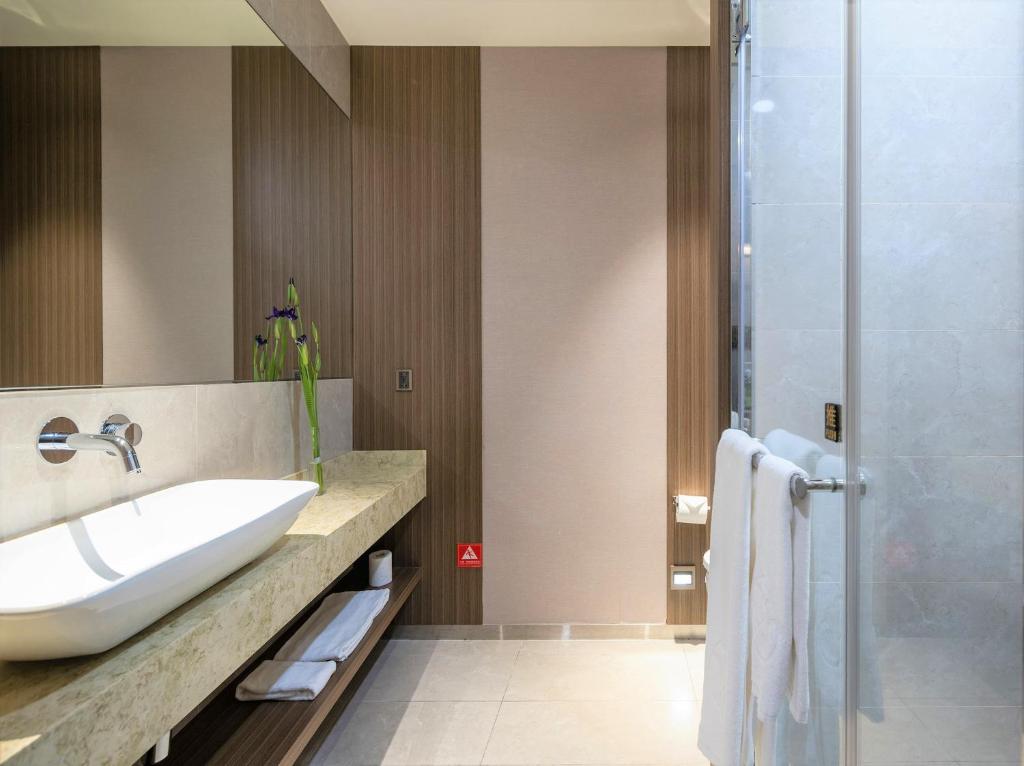 泰山丽京栈酒店的一间带水槽和淋浴的浴室