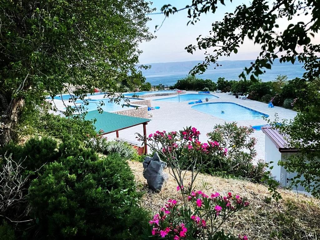 克罗诺维察Mobile home Relax的一座山坡上种有粉红色花卉的大型游泳池