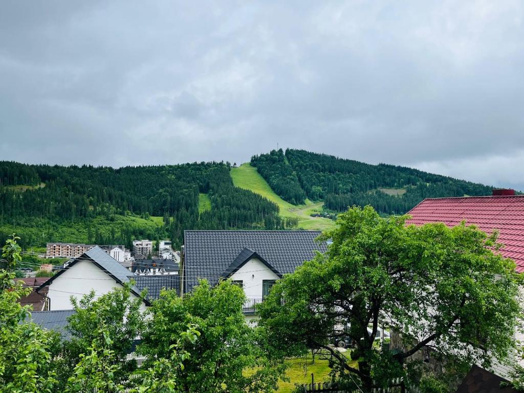 布克维Smerichka的一座有房子的城镇和一座树木繁茂的山丘