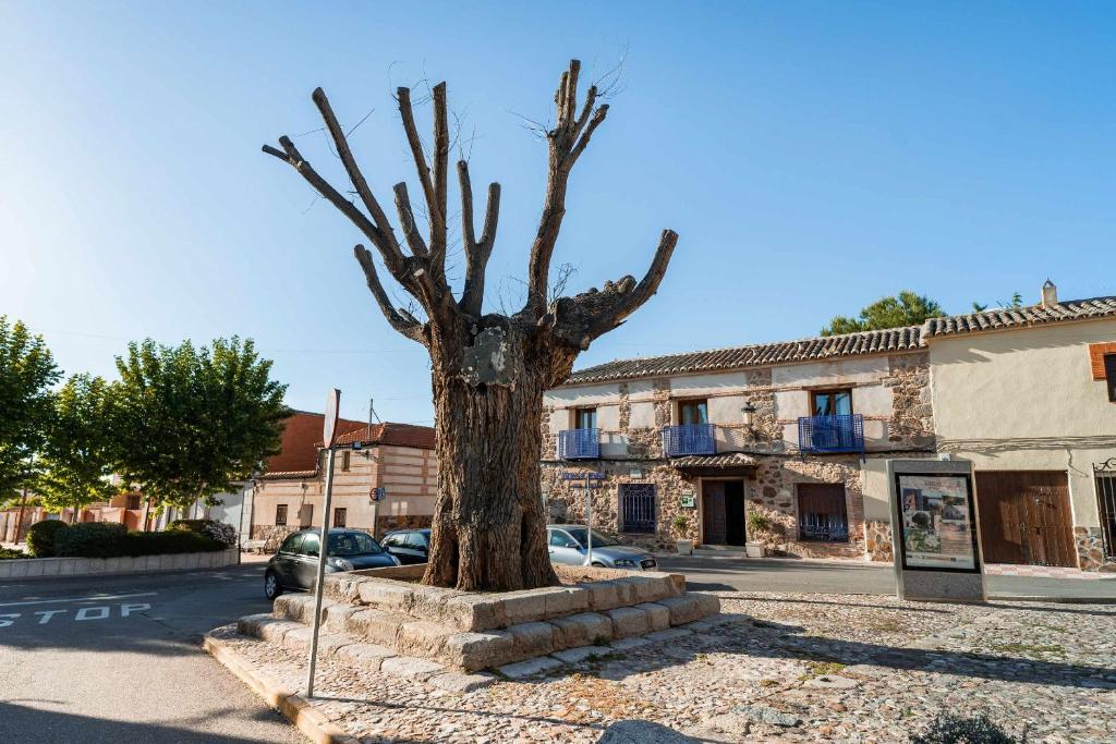 拉耶斯Casa Rural Álamo Grande的街道中间的树雕像