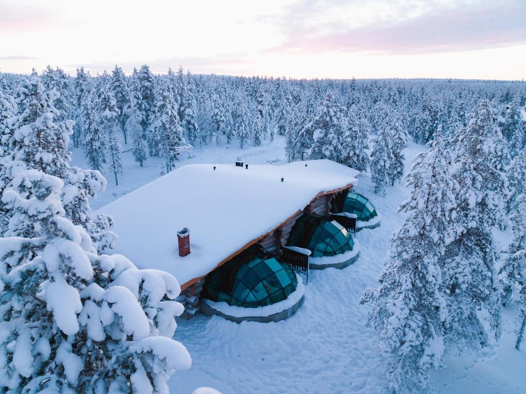 乌茨约基Utsjoki Arctic Resort的享有雪覆盖森林的空中景致,设有帐篷