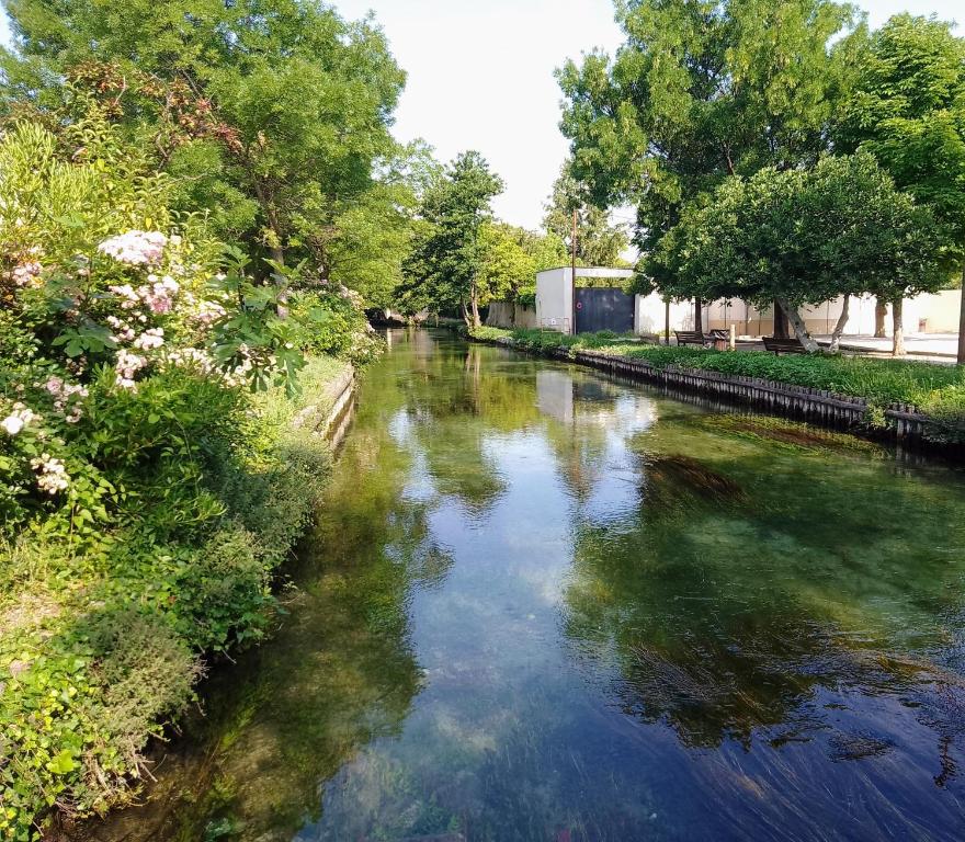 索尔格河畔利勒Casa Mia, chambre privée en Provence的一条有树木和蓝色水的河流