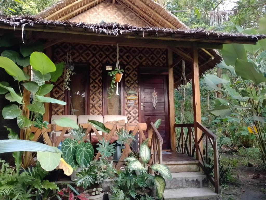 巴图卡拉anik homestay & dormy Batukaras的丛林中的小房子,种有植物