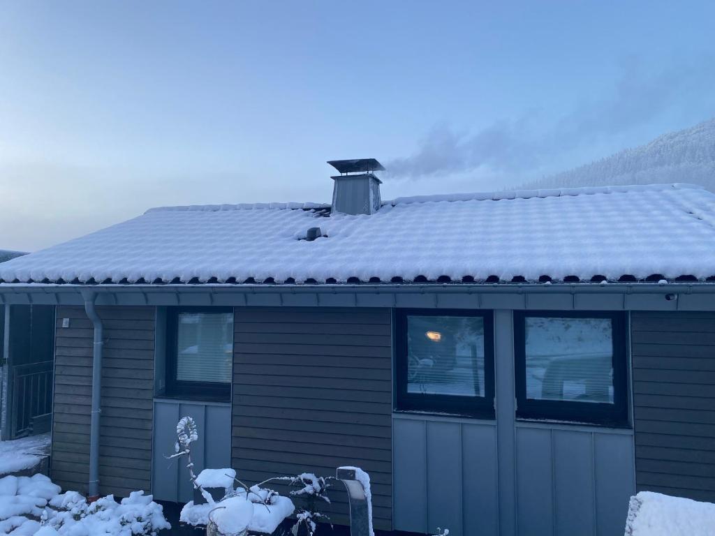 温特贝格Hochheide Lodge的顶部有雪盖的屋顶的房子