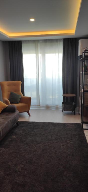 安塔利亚Konyaaltı ANTALYA的带沙发和地毯的客厅