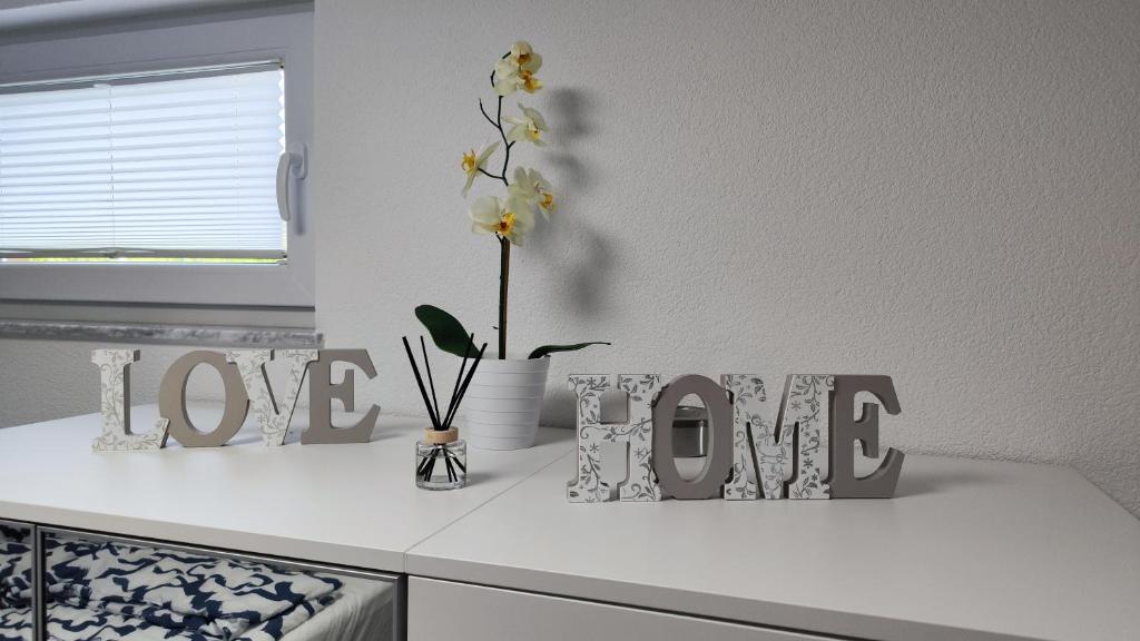 科佩尔Apartma ALTER EGO的厨房柜台,配有花瓶和爱情标志