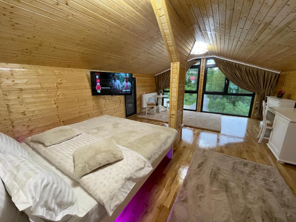 AradaPensiunea AlexOlar New One的一间卧室配有一张大床和一台平面电视