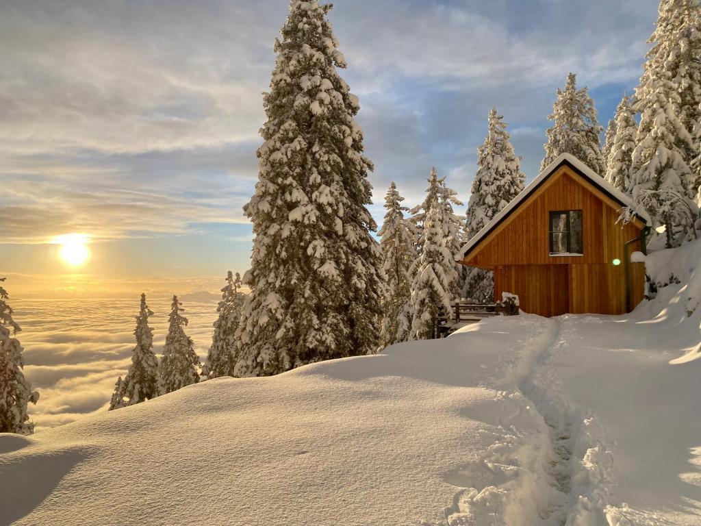 戈雷尼斯卡地区采尔克列Čudovita koča na samem, Gorenka的一座小屋,位于一片树木茂密的雪覆盖森林中