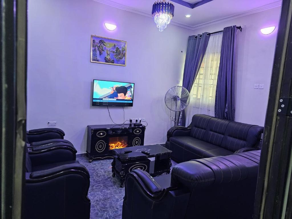 Ekehen247 City Apartment - Home away from home的带沙发、电视和壁炉的客厅