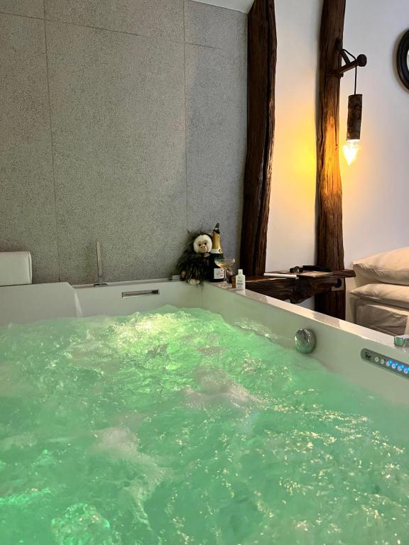 欧巴涅Tamarin & Capucin Suite Balnéo的装满绿水的浴缸,里面装有泰迪熊