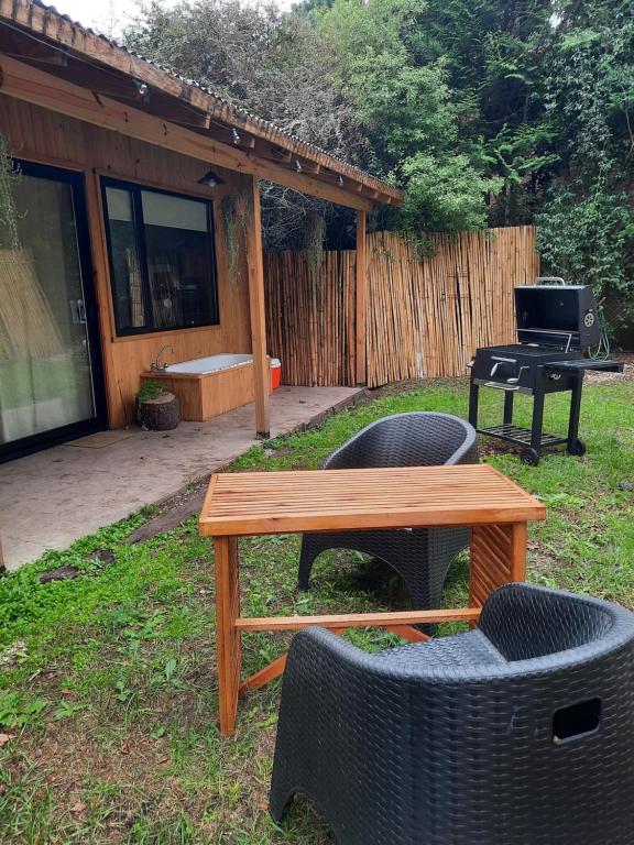 皮纳马尔PINAMARTE的后院的野餐桌椅和烧烤架