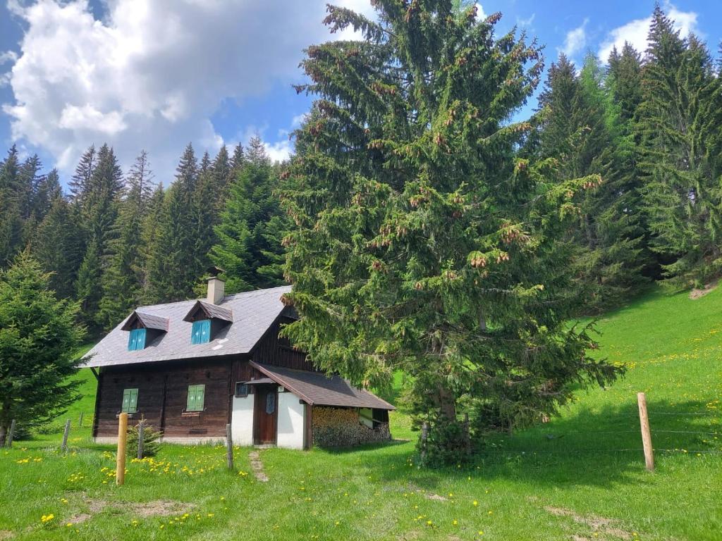 Almzeithütte am Seeberg的田野上的小房子,有树